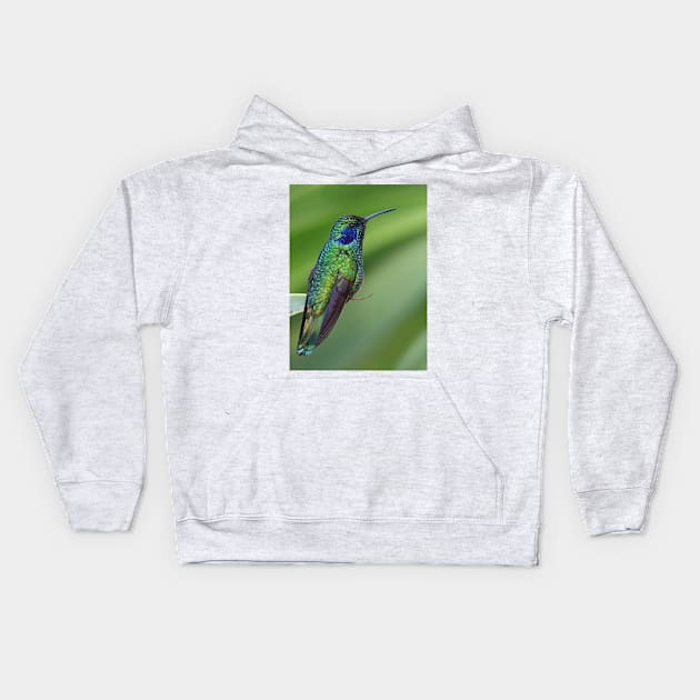 Green Violetear Hummingbird - Costa Rica Kids Hoodie by Jim Cumming